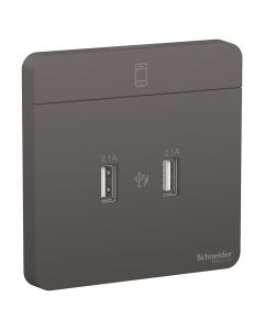 2 X 2.1A Usb Charger, Dg