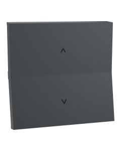 2 Way switch 2 module