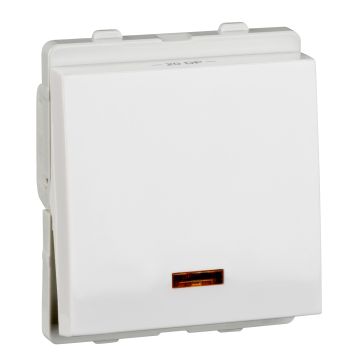 20A DP switch with indicator lamp