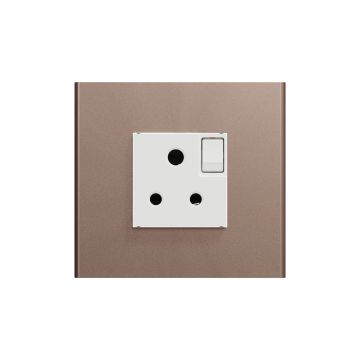 Switched Socket - Silver Bronze