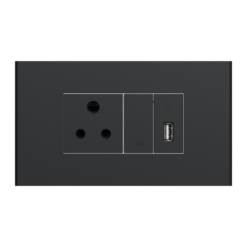 Switch With Socket and USB Port - Grey