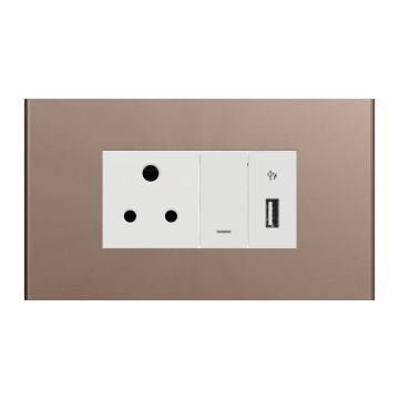 Switch With Socket and USB Port - Silver Bronze