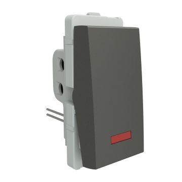 20A 1W switch w/t indicator (1M), PG
