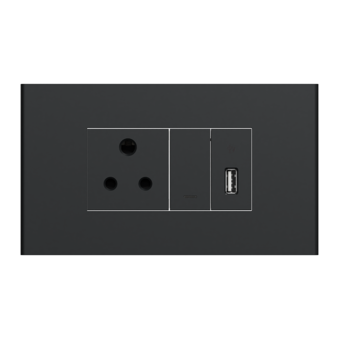 Switch With Socket and USB Port - Grey