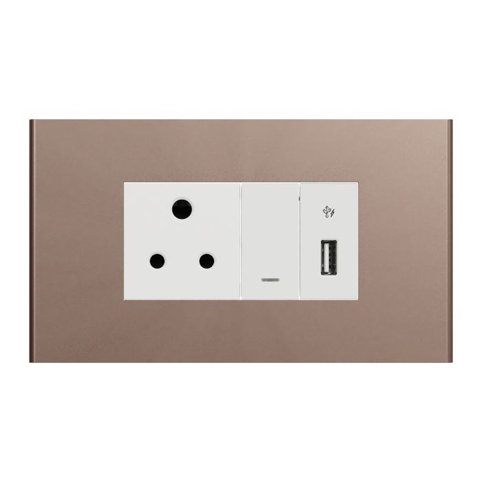 Switch With Socket and USB Port - Silver Bronze