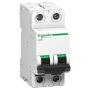 Acti9 xC60 2P D 6A MCB IS/IEC 60947-2