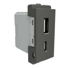 Buy A + C 1 module USB, Painted Grey Livia AB - Schneider Electric