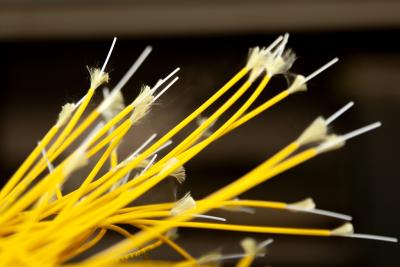 Optical Fibre: Definition, Structure, Propagation
