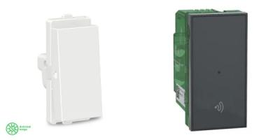 Regular Switch vs. Smart Switch: Which One Should You Choose?